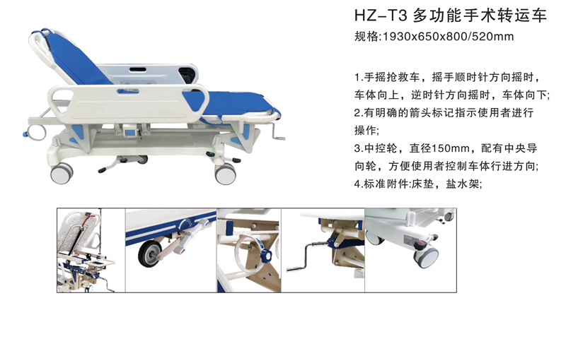 T3-1.jpg